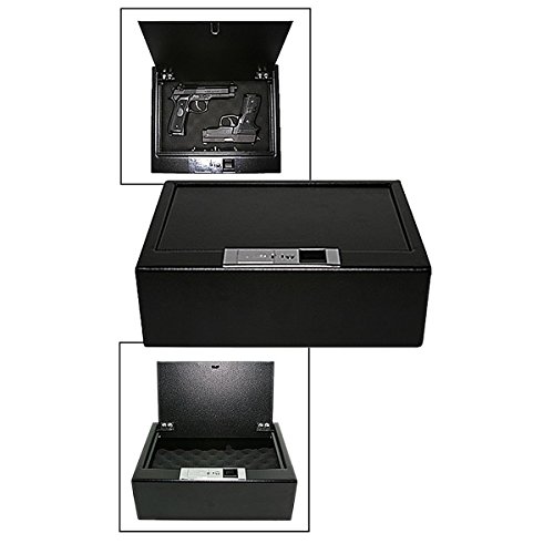 Biometric Fingerprint Safe LockSAF PBS001 Home Safe Reviews