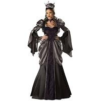 Wicked Queen Costume Adult