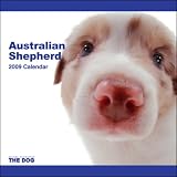 2009 Australian Shepherd ARTLIST Square Wall Calendar