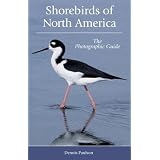 Shorebirds of North America: The Photographic Guide by Dennis R. Paulson