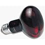 "Zoo Med" Nocturnal Infrared Heat Lamp, Select a size: 150 Watt = $9.99