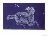 Aries Giclee Poster Print by Roberta Norton, 30x40