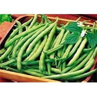 David's Organic Green Bush Bean Heavyweight II 50 Seeds per Packet