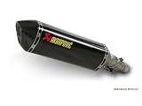 AKRAPOVIC Auspuff TRIUMPH 675 Street Triple 08 09 SLIP ON CARBON HEXAGONAL ABE