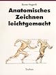 Anatomisches Zeichnen leichtgemacht