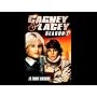 Cagney & Lacey Season 1