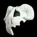 Dream2reality Cosplay Prop Bleach_Former No.3 Espada_Neliel Tu Oderschvank_Arrancar(damaged£©