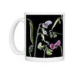 LA-103 SWEET PEA - flowers and seed development Photo Mugs