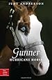 Gunner: Hurricane Horse (True Horse Stories)