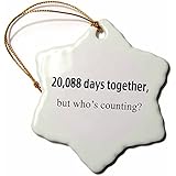 3dRose orn_112218_1 20, 088 Days Together, Who's counting Happy 55th Anniversary Snowflake Porcelain Ornament, 3-Inch