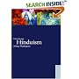 Introducing Hinduism (World Religions)