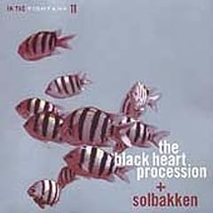 In the Fishtank, Vol. 11