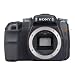 The Sony Alpha a100 setup for avid amateurs