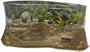 Animal Planet Frog Habitat