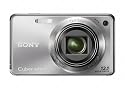 Sony Cyber-shot DSC-W290 12.1 MP Digital Camera with 5x Optical Zoom and Super Steady Shot Image Stabilization (Silver)