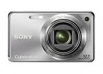 Sony Cyber-shot DSC-W290 12.1 MP Digital Camera with 5x Optical Zoom and Super Steady Shot Image Stabilization (Silver)