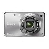 Sony Cyber-shot DSC-W290 12.1 MP Digital Camera with 5x Optical Zoom and Super Steady Shot Image Stabilization (Silver)