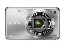 Sony Cyber-shot DSC-W290 12.1 MP Digital Camera with 5x Optical Zoom and Super Steady Shot Image Stabilization (Silver)