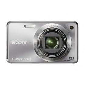 Sony Cyber-shot DSC-W290 12.1 MP Digital Camera with 5x Optical Zoom and Super Steady Shot Image Stabilization (Silver)