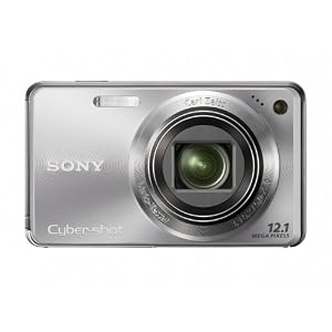 Sony Cyber-shot DSC-W290 12.1 MP Digital Camera with 5x Optical Zoom and Super Steady Shot Image Stabilization (Silver)