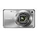 Sony Cyber-shot DSC-W290 12.1 MP Digital Camera with 5x Optical Zoom and Super Steady Shot Image Stabilization (Silver)
