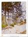 Corfu the Terrace by John Singer Sargent Fine Art Print / Poster 23.75 x 31.50 in.