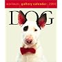 Dog by Workman Publishing Company