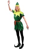 IMAGE OF Peter Pan Lady Costume Adult Size 8-12