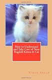 How to Understand and Take Care of Your Ragdoll Kitten and Cat