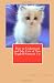 How to Understand and Take Care of Your Ragdoll Kitten & Cat