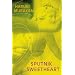 Sputnik Sweetheart