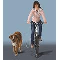 DOGRUNNER Fahrradhalter f�r den Hund