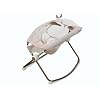 Fisher-Price Snugabunny Deluxe Rock n' Play Lightweight Plush Sleeper