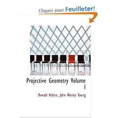 Projective Geometry Volume I