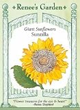 Sunflower Seeds - Sunzilla - Giant Edible
