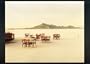 Crimes and Splendors: The Desert Cantos of Richard Misrach