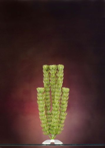 JW Pet Company Hornwort 11 in Large Aquarium Plant