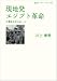 現地発 エジプト革命――中東民主化のゆくえ (岩波ブックレット)