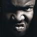 Gorilla Zoe - Welcome to the Zoo
