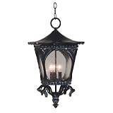 Kenroy Home Caldera Outdoor Hanging Lantern