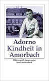 Kindheit in Amorbach. Bilder und Erinnerungen - Theodor W. Adorno
