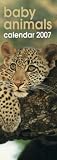 Baby Animals (Super Slim Calendar)