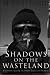 Books : Shadows on the Wasteland: Crossing Antarctica with Ranulph Fiennes