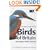 Pocket Guide to the Birds of Britain and North-West Europe (Helm Field Guides)