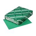 Wausau Paper 22741 Astrobrights Colored Card Stock, 8-1/2x11, 65-lb, Gamma Greent, 250/pk