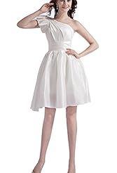 Taffeta One Shoulder  Dress