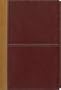 KJV/Amplified Parallel Bible, Large Print