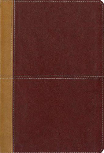 KJV Amplified Parallel Bible, Large Print