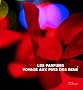 Les parfums Kenzo, voyage aux pays des sens
