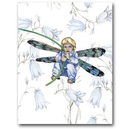 Dragonfly Fairy - Gift Enclosure Cards (set of 12) On Sale